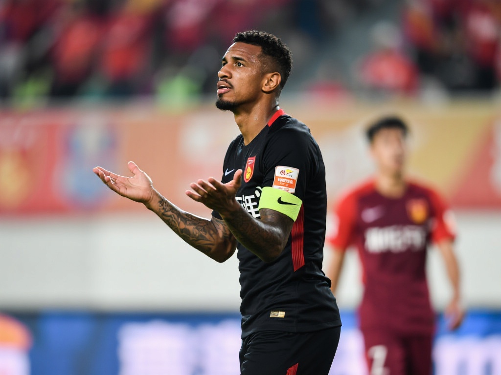 对目标的执 对目标的执